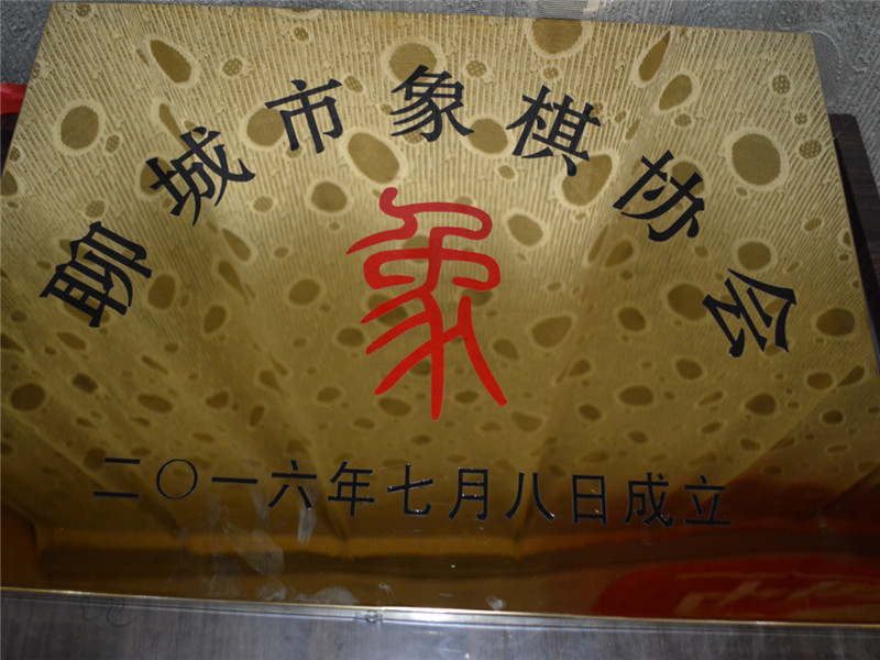 协会风采